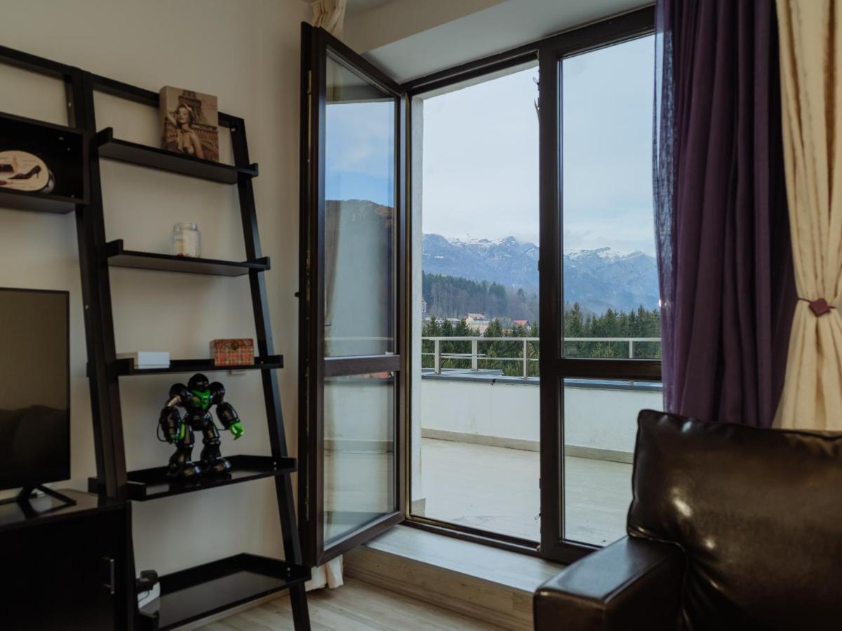 Panoramic Loft Colina Marei Sinaia Exterior foto